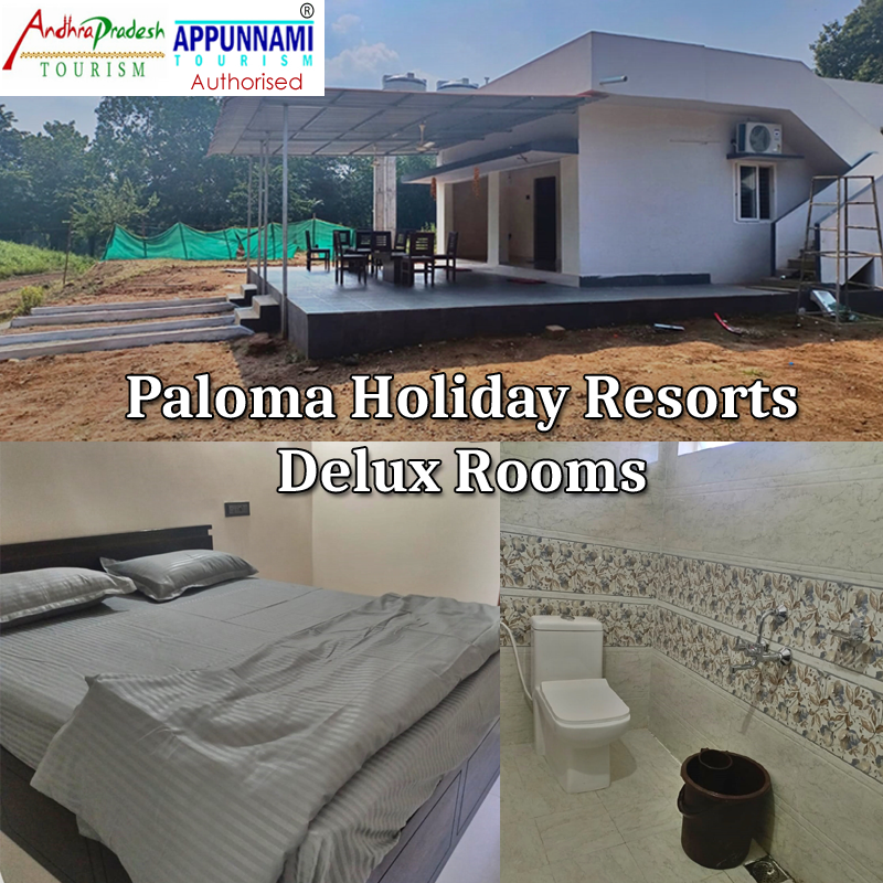 Paloma Holiday Resorts Delux Rooms